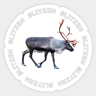 Blitzen Sticker